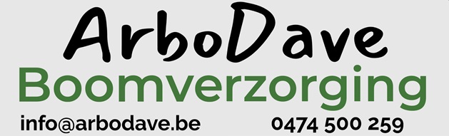 boomverzorgers Westerlo ArboDave Boomverzorging