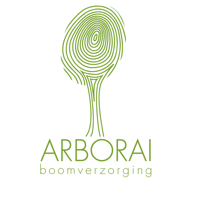 boomverzorgers Aalst Arborai - Boomverzorging