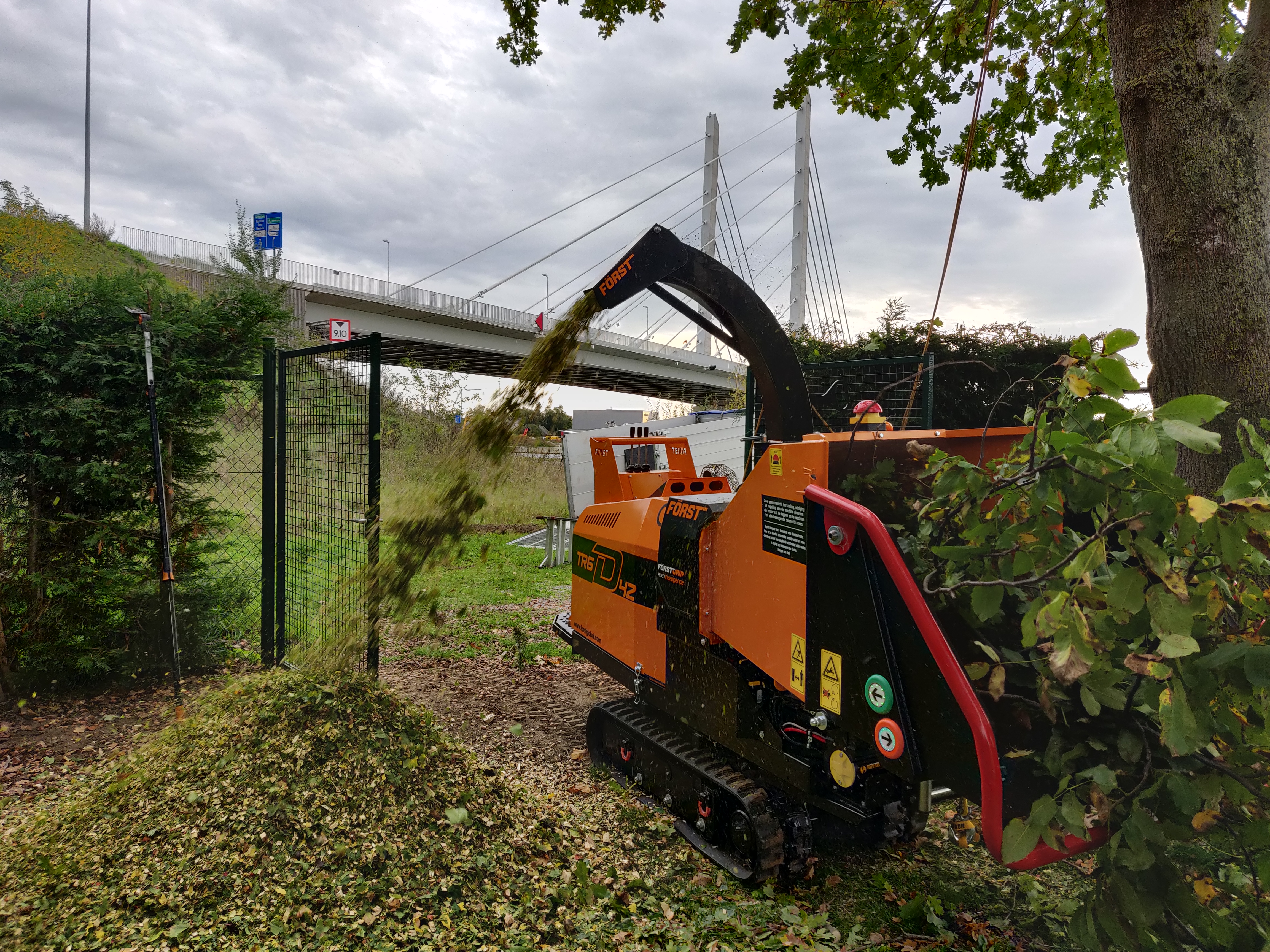 boomverzorgers Geel | Bomen Thys