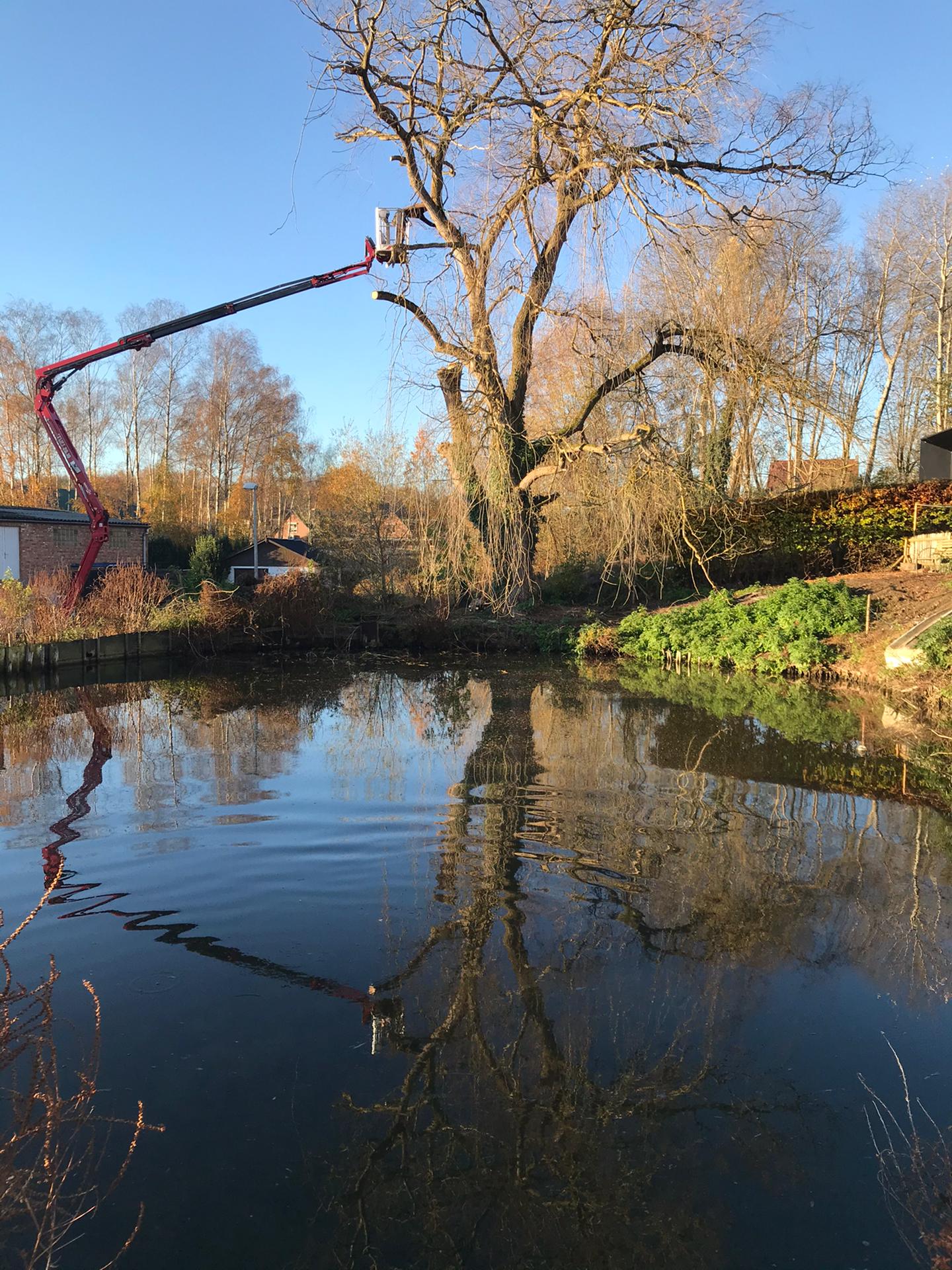 boomverzorgers Roosbeek | Bonoboom Boomverzorging