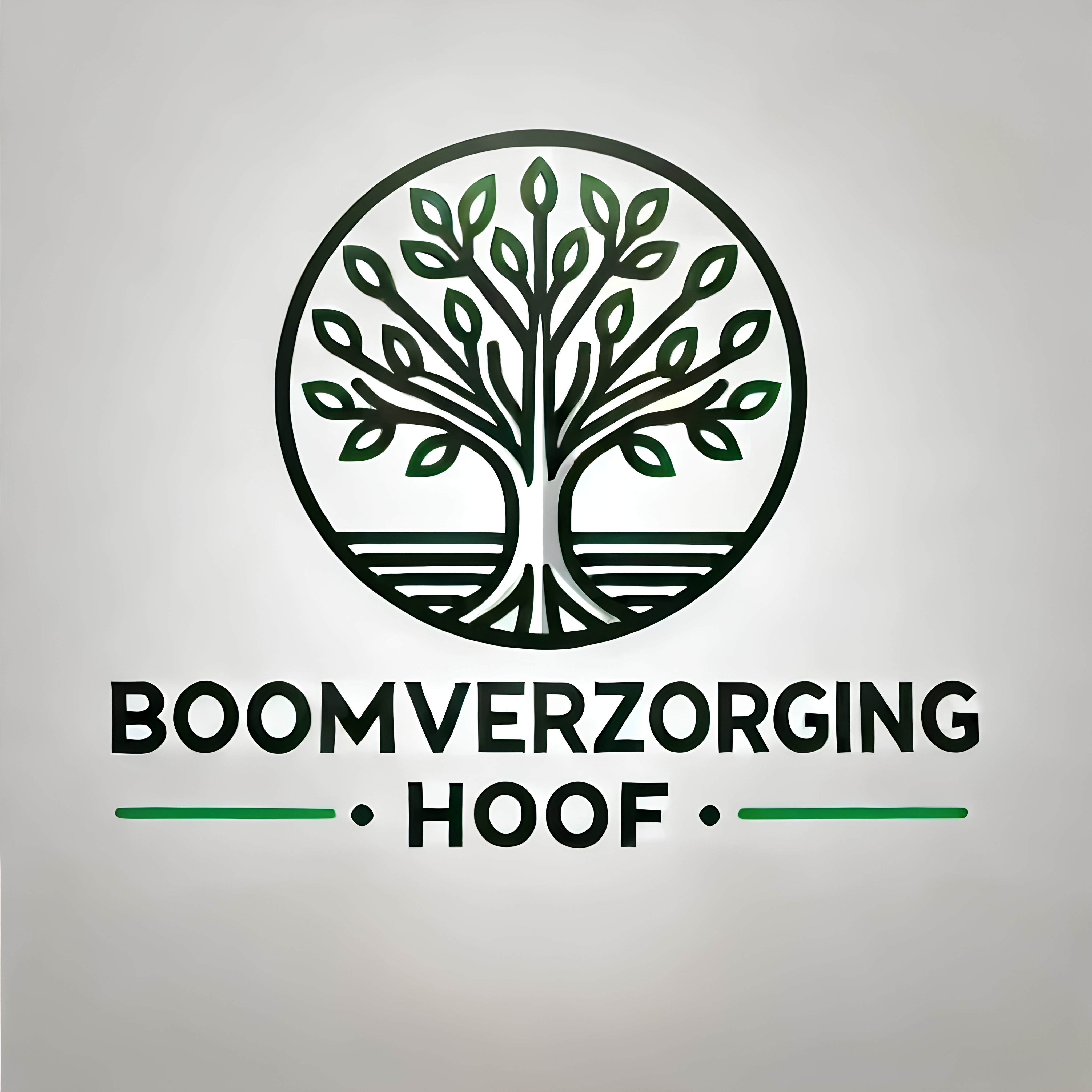 boomverzorgers Sint-Niklaas | Boomverzorging Hoof