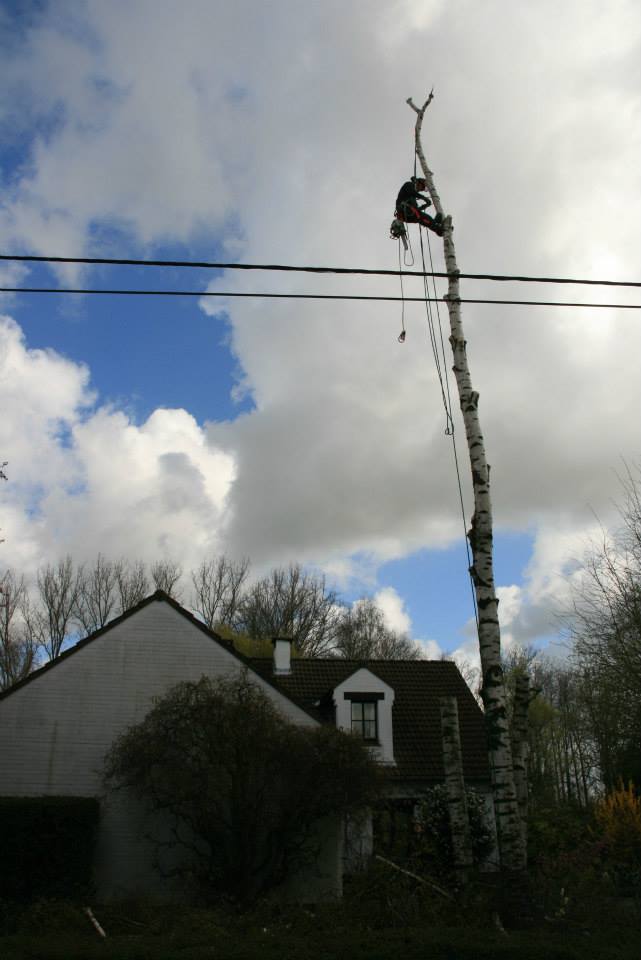 boomverzorgers Brakel | Willem Van der Linden