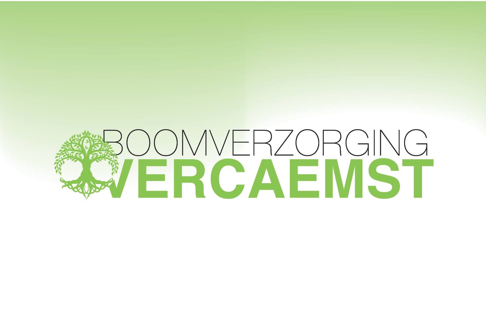 boomverzorgers Oudenaarde Boomverzorging Vercaemst