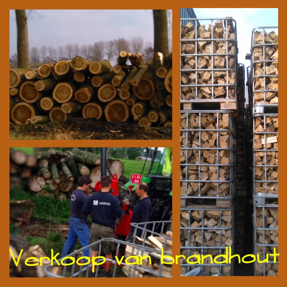 boomverzorgers Temse | Brandhout, boomwerken & tuinonderhoud Van Meervenne