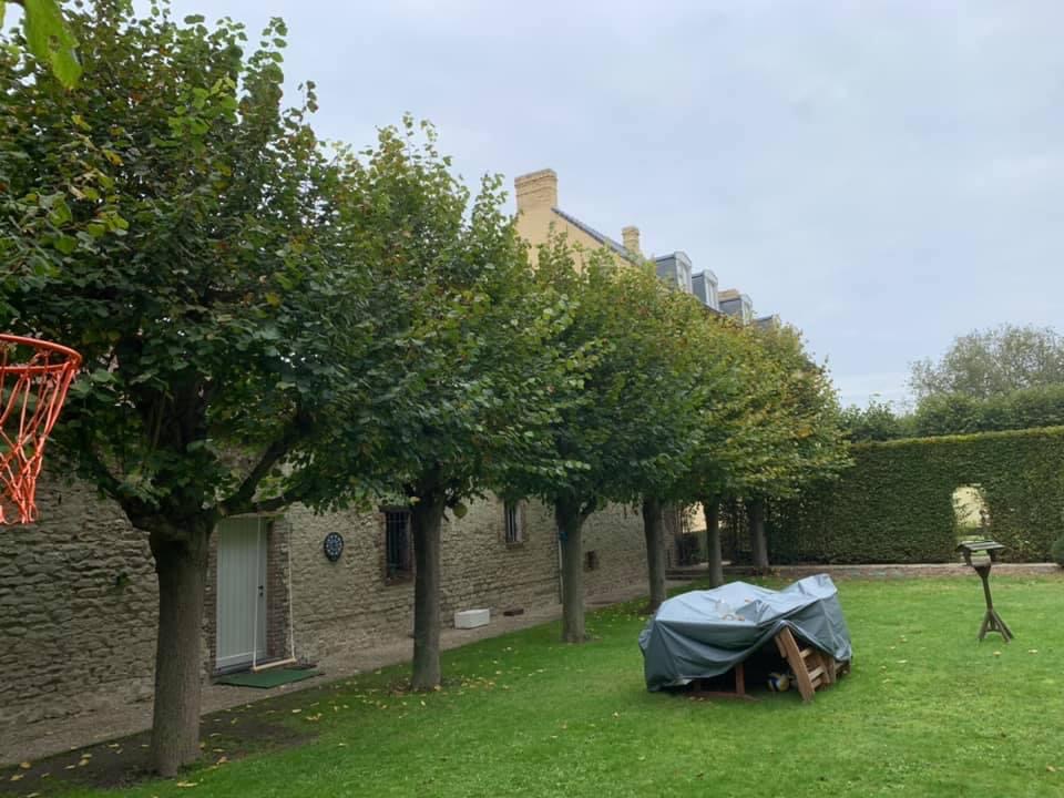 boomverzorgers Kampenhout | DVT tuinonderhoud