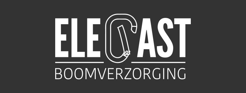 boomverzorgers Diepenbeek | Elegast boomverzorging