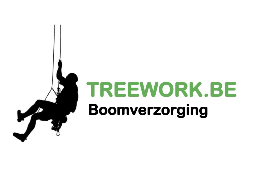 boomverzorgers Ophasselt treework.be